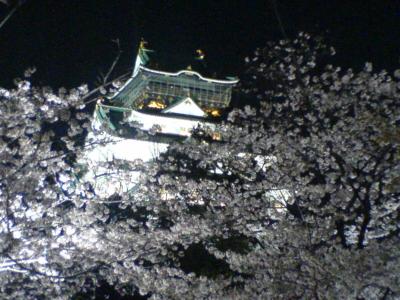 ～大阪城・夜桜～
