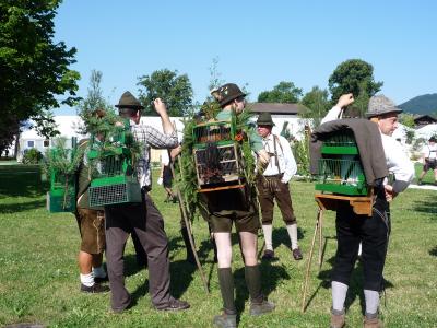 オーストリア　v(≧∇≦)v イェェ~イ♪（8日目　その1）ザルツブルク→ザルツカンマーグート地方