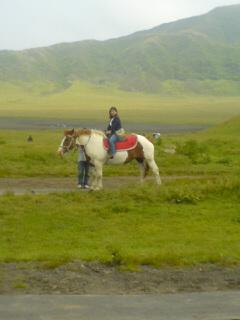 九州バスツアーの旅　?