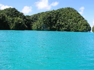 弾丸パラオツアー