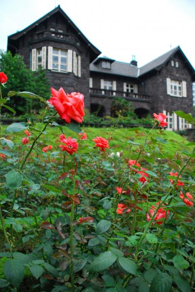 旧古河庭園鮮やかな薔薇の風景