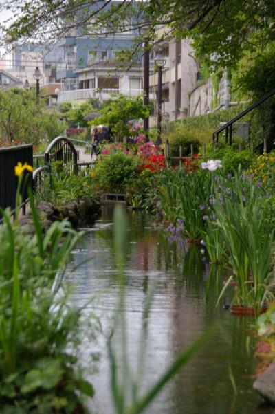 池尻大橋近くの目黒川緑道