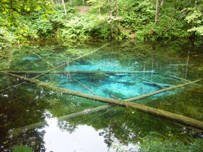 駆け足道東めぐり（その６-裏摩周）