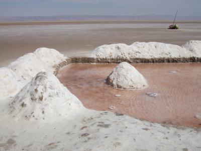チュニジア旅行記【6】ショット・エル・ジェリド、タメルザ、シェビカ