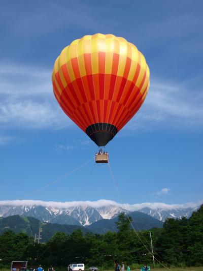 白馬アルプス花三昧（八方尾根自然研究路）