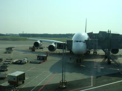 2008夏旅行 ビンタン島&シンガポール?」(日本~シンガポール)