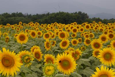 念願の夢が叶いました！！