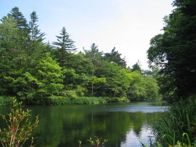 夏の軽井沢