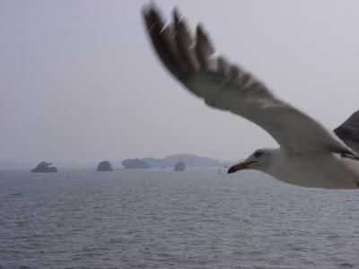 「北海道&東日本パス」で東北ほっつきあるき 2008 1日目「松島」