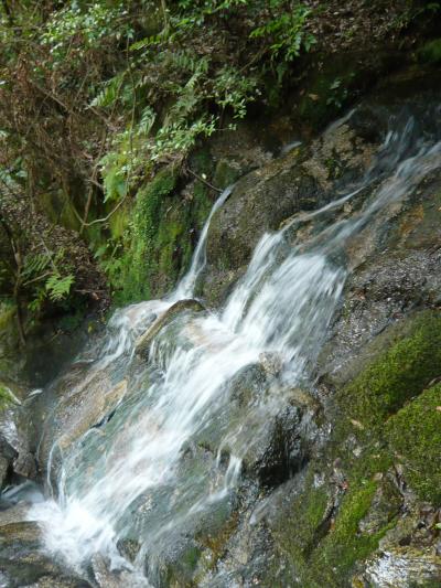 滝紀行◆奈良県山添村の滝（不動滝・八柱神社の滝）