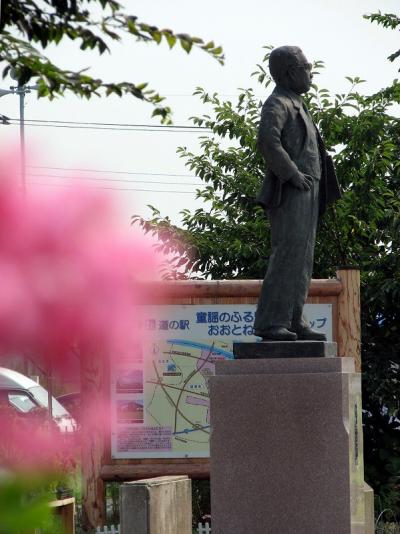 「ほていあおい」の咲く大利根村