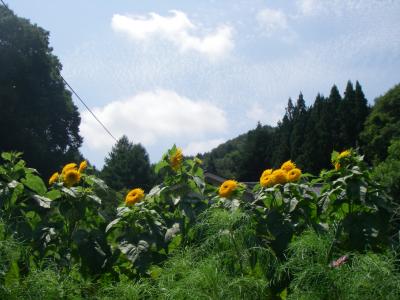 2008夏・信州佐久日帰り旅行