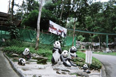 モータサイを借りて市内観光