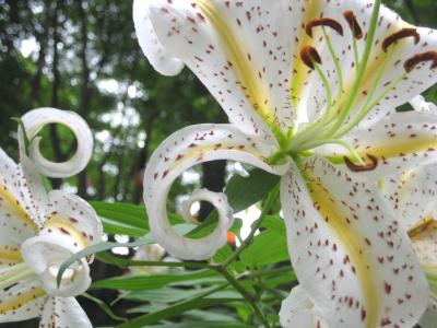 ○○○に備えて・・・