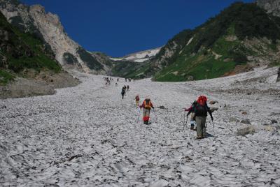 猿倉～白馬岳～栂池　☆大雪渓・高山動植物に出会う☆