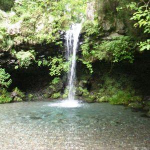 夏だ、キャンプだ！　家族で朝霧高原の夏休み　（富士宮編　その１）