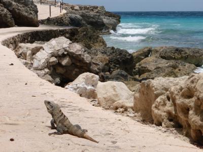 マヤ＆ビーチリゾート・カンクン旅行記その4イスラムヘーレス編