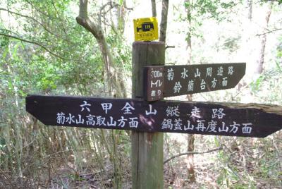 菊水山・鍋蓋山から神戸港パノラマを望む