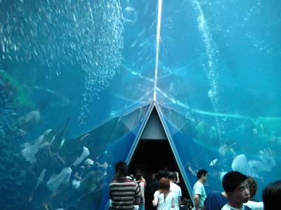 親潮と黒潮の出会いの水族館　アクアマリン福島