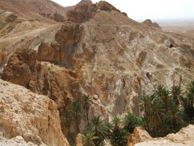世界遺産とサハラ砂漠 チュニジア8日間の旅 4