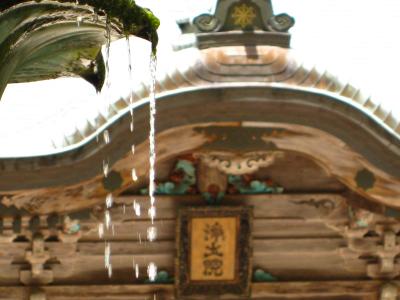 古都京都の文化財～比叡山延暦寺・西塔～  