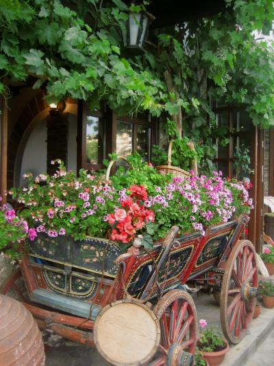 2008年ブルガリア・ハイライトその10：花と実り豊かな夏のブルガリア・その２