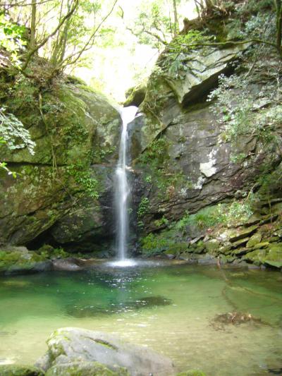 暑い夏も和歌山・百山渓谷のマイナスイオンでひんやり☆の旅～その１