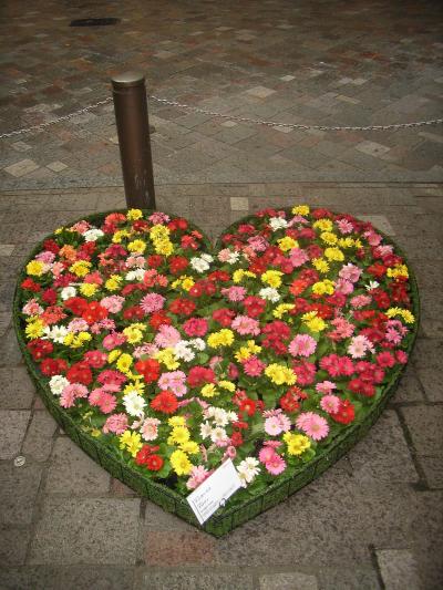 Marunouchi-flower weeks 2008