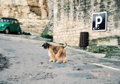 南フランス、ちょっとだけ Paris