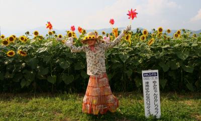 「ひまわり」と「かかし」のコラボ！