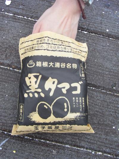 2008家族旅行　箱根編