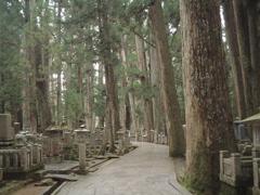 高野山で宿坊に泊まる