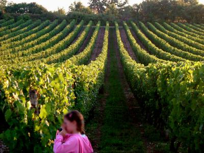 閑村の晩夏の一日(カオール近郊)　その２