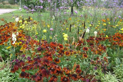 *Mon**ヘルシンキ一人旅* もいもい、へるしんき