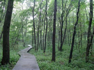 【近郊3】都立小宮公園の散歩