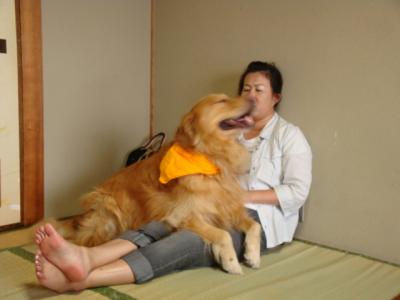 愛犬同伴、夏の小豆島