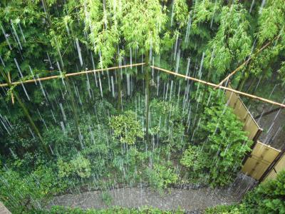 大雨の箱根仙石原温泉