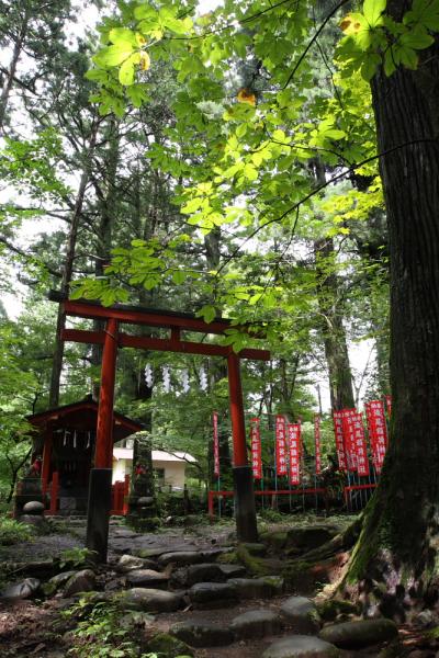 徳川以前の日光を知ろう！史跡探勝路（神橋～滝尾神社）