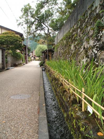 ゆく川の流れに癒される！郡上八幡　日帰り散歩