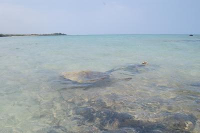 ハワイ島 素敵♪バケーションレンタルの旅 ?