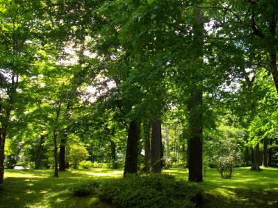 夏の終わりの軽井沢