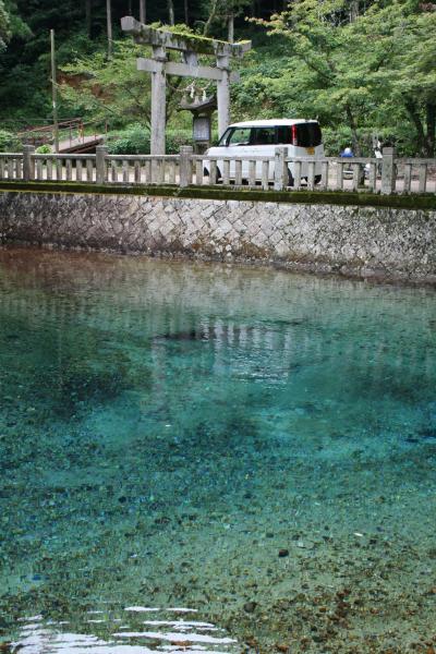 ひとり旅 [351] ぶらっと秋芳町へ＜別府弁天池＞山口県秋芳町