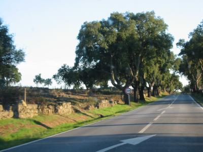スペイン北部・ポルトガル旅行（9）／レンタカーで廻る モンサント