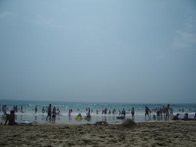 白浜~西伊豆~修善寺を一日で