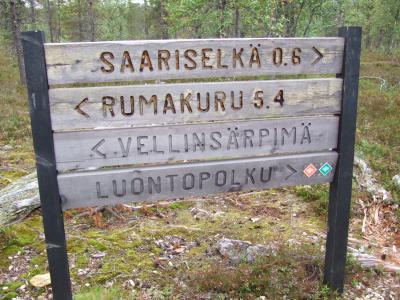 三度目の北欧一人旅Part2(サーリセルカでハイキング)