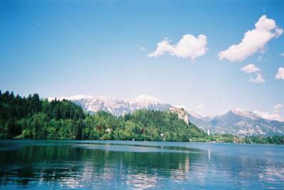 リュブリャーナ/ブレッド湖/ポストイナ鍾乳洞･シュコツィヤン鍾乳洞