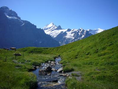 2008年スイス＆イタリアで夏休み～（３５）フィルストへのハイキング