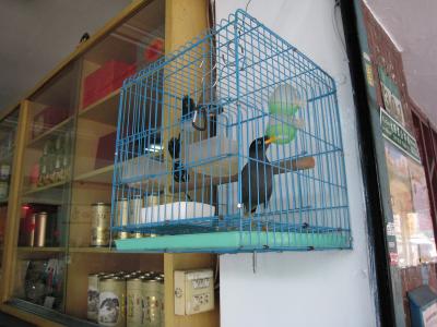 2008遅い夏休みを台北で♪Part2