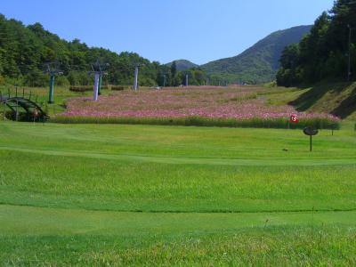 治部坂高原コスモスガーデン