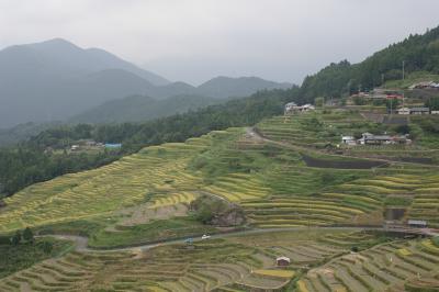 三重・紀和・丸山